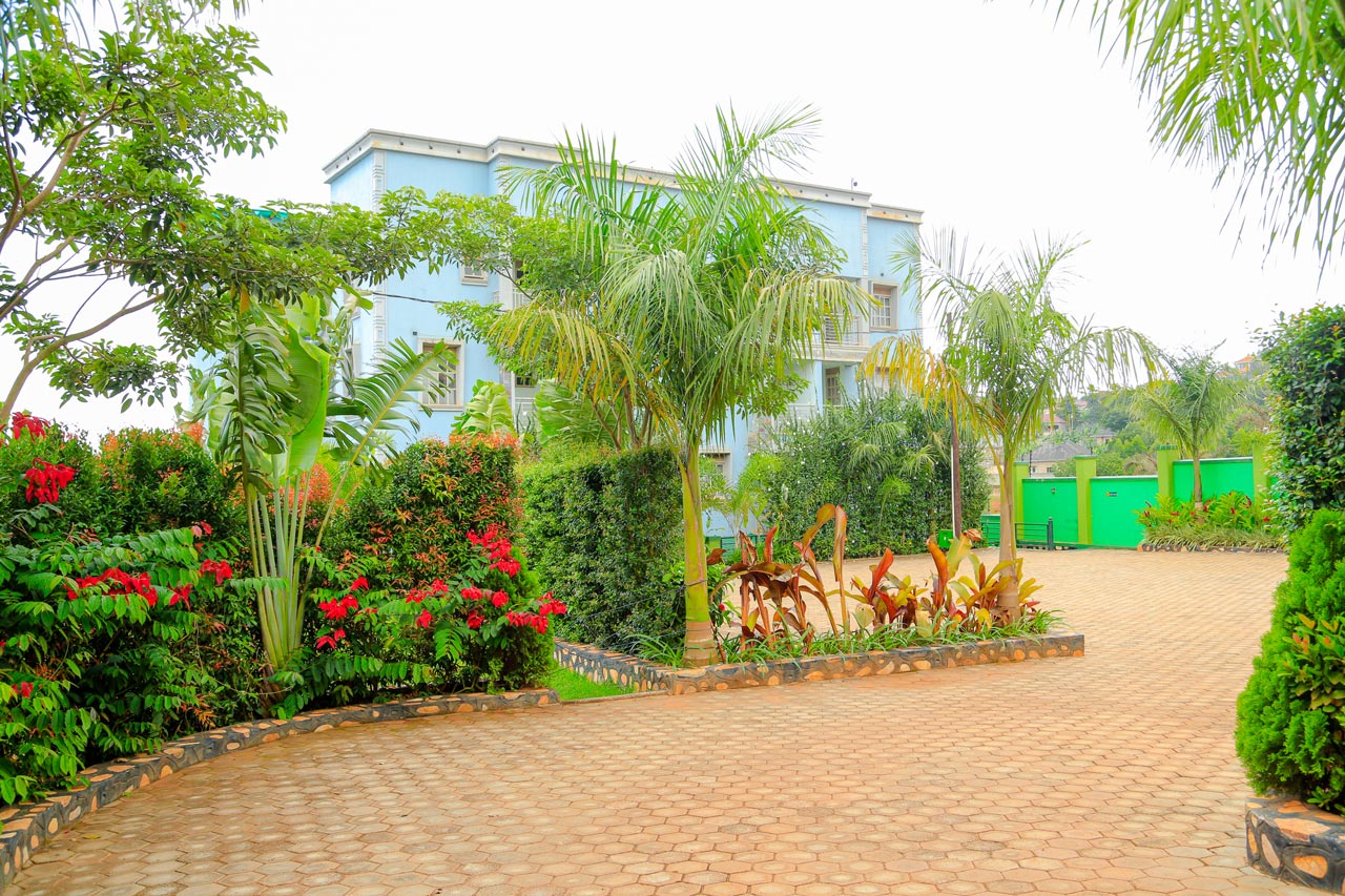 Driveway